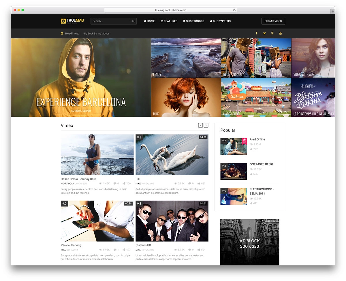 22 theme video cho WordPress chuyên nghiệp và tốt nhất 2025